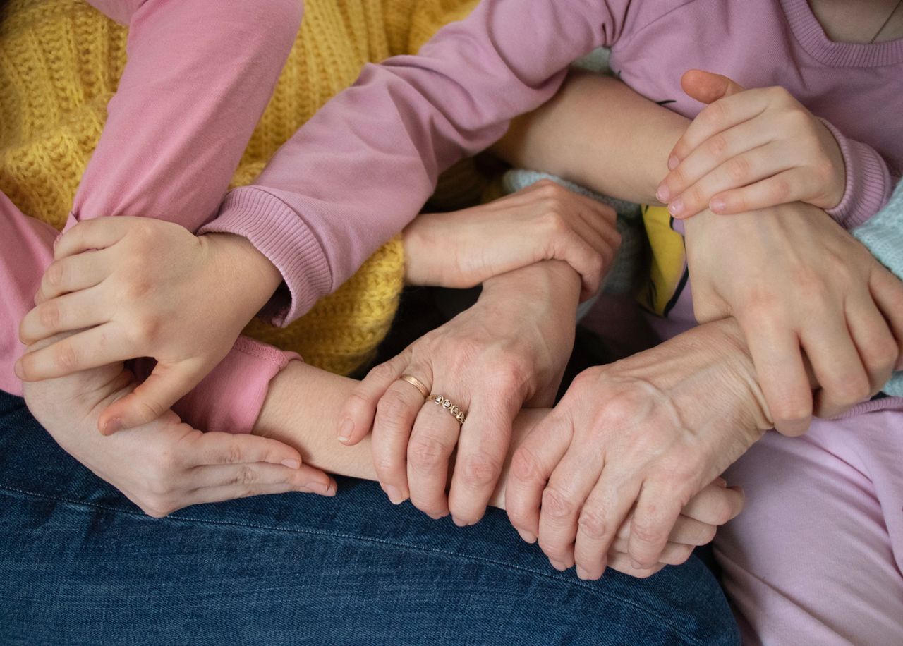 Aile Dizimi Hakkında Yanlış Bilinenler ve Uzman Seçerken Sorulması Gerekenler